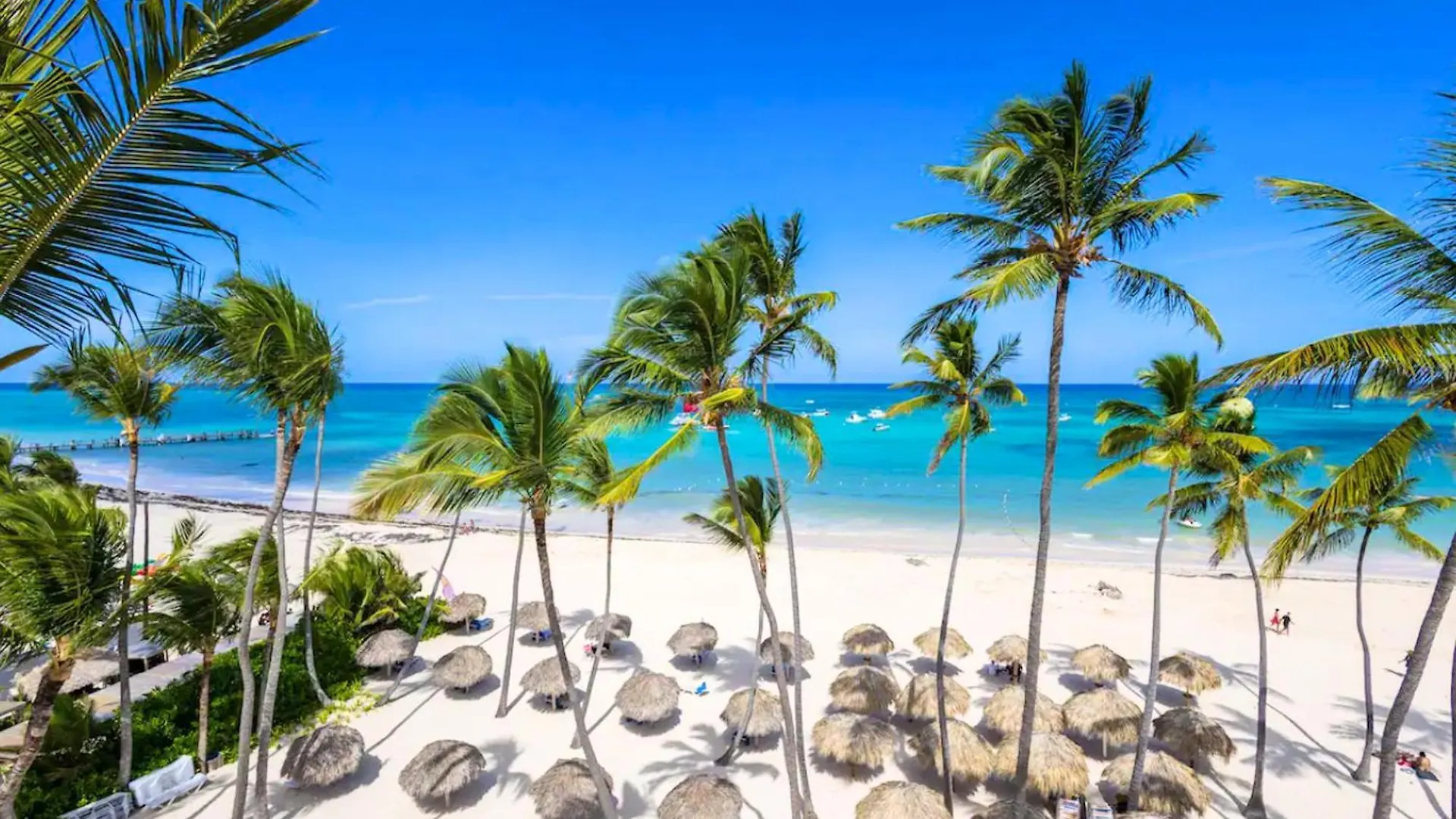 Atlantico Studios - Playa Los Corales - Beach Club, Wifi, Swimming Pool location
